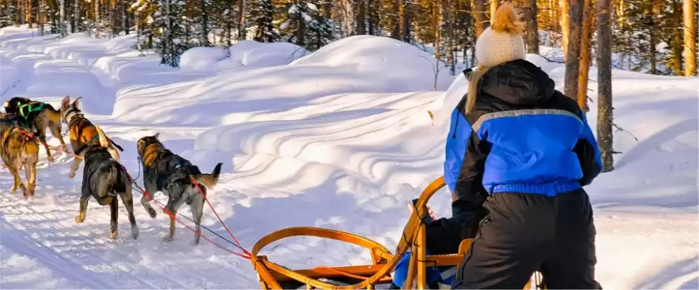 Hitch a ride on a husky sledge