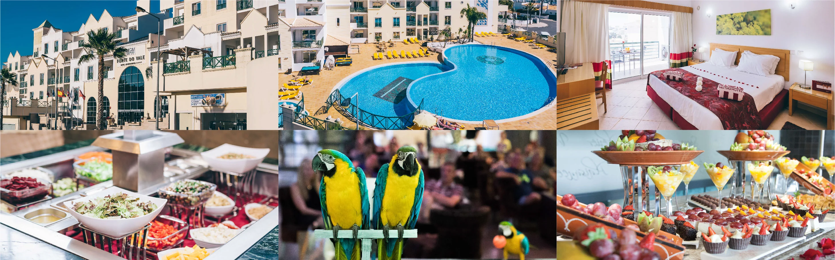 All Inclusive Hotel