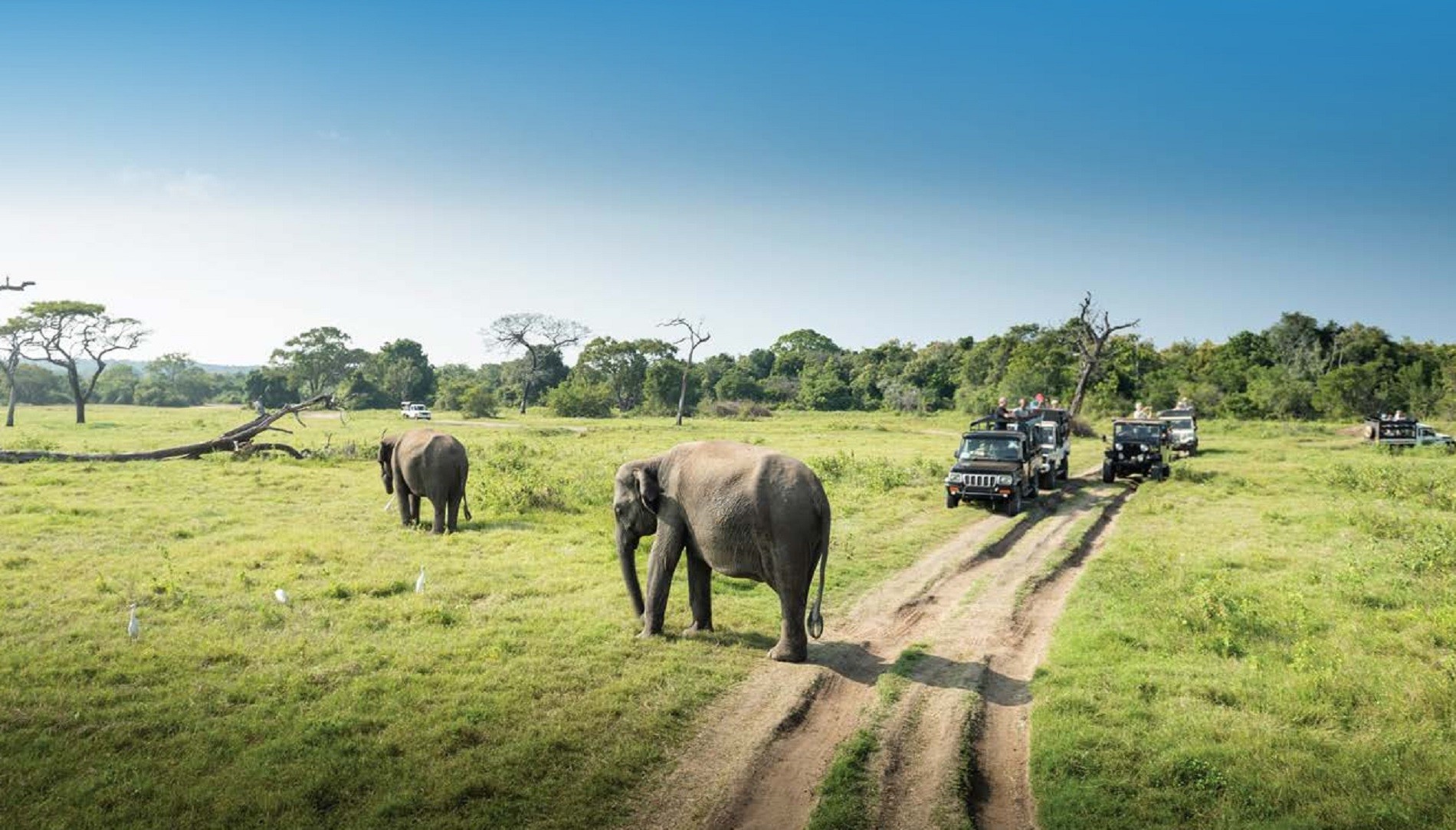 Laikipia Safari Adventure