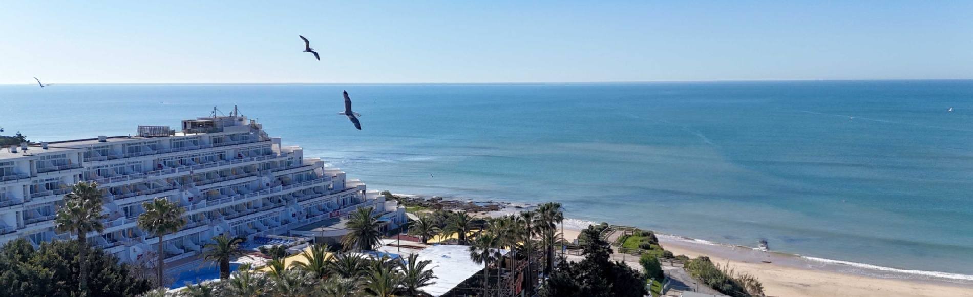 Own the Ocean This October| Muthu Clube Praia da Oura